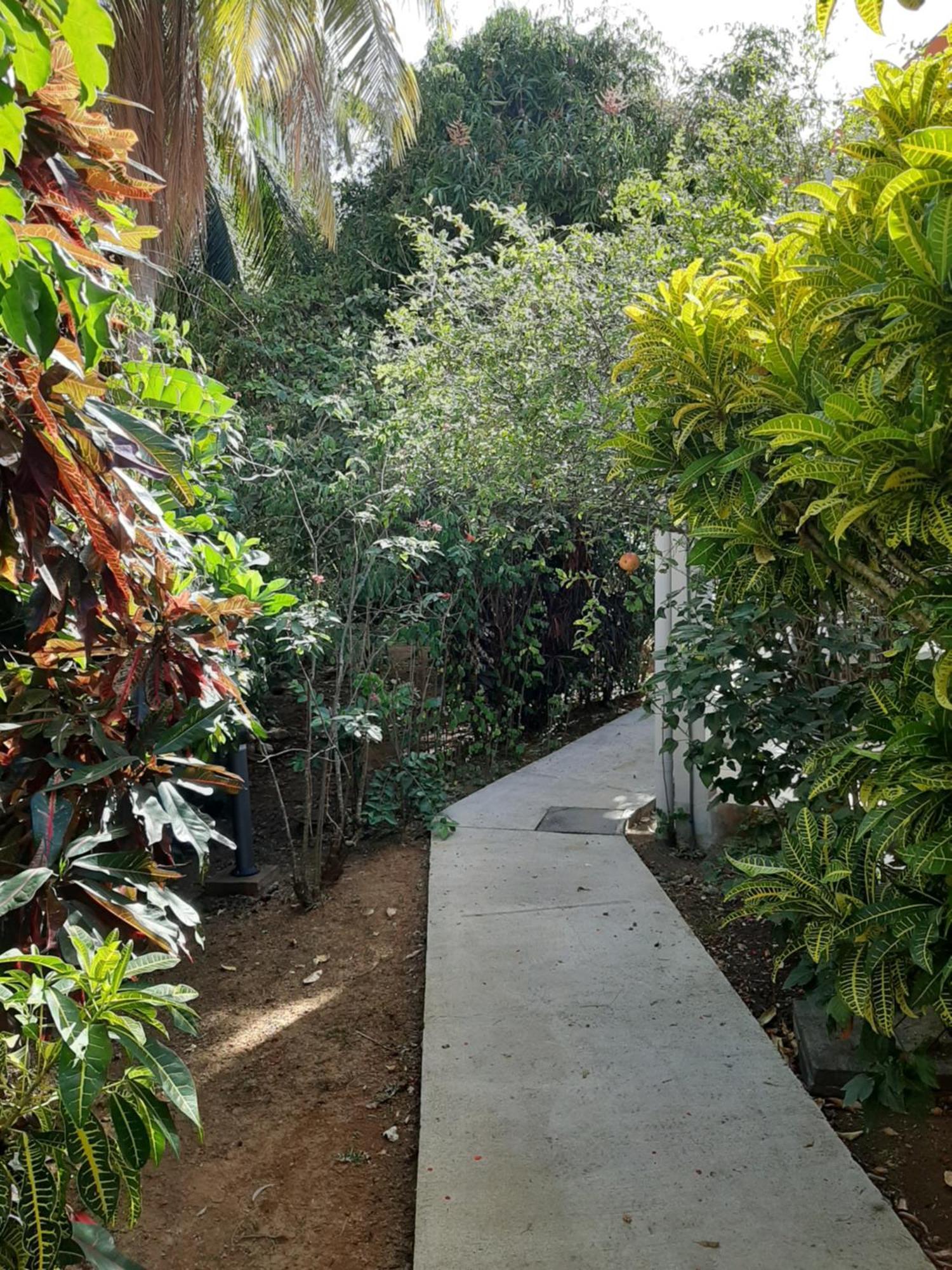 Residence Mon Refuge Grande Anse Экстерьер фото